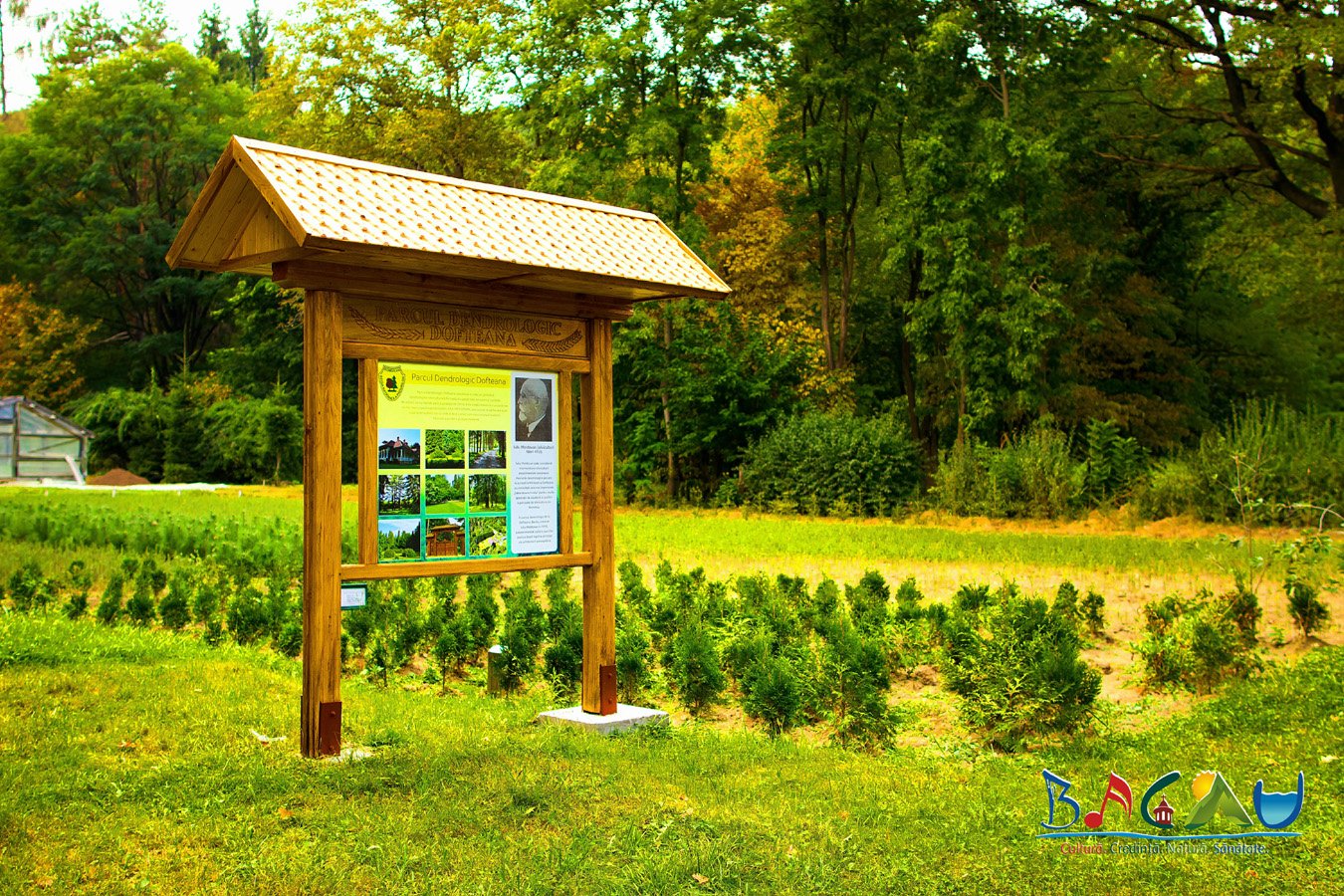 Panoul de prezentare al Parcului Dendrologic Dofteana, într-o pepinieră de conifere tinere, cu pădurea în fundal